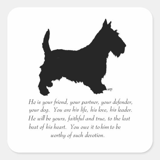 Scottish Terrier Keepomwille - MALE Dog Vierkante Sticker (Voorkant)