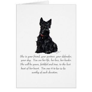 Scottish Terrier Keepomwille - VROUW