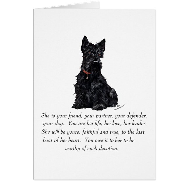 Scottish Terrier Keepomwille - VROUW (Voorkant)