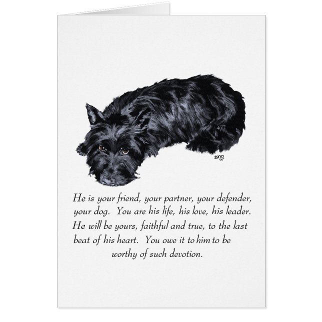 Scottish Terrier Keepsakes - MALE (Devant)
