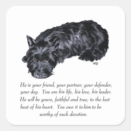 Scottish Terrier Keepsakes - MALE Vierkante Sticker (Voorkant)