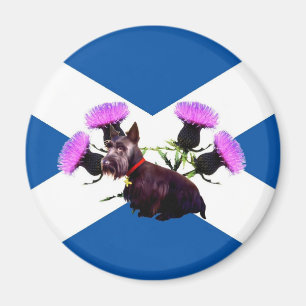 Scottish Terrier Magneet