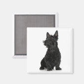 Scottish Terrier Magnet (Recto/Verso)