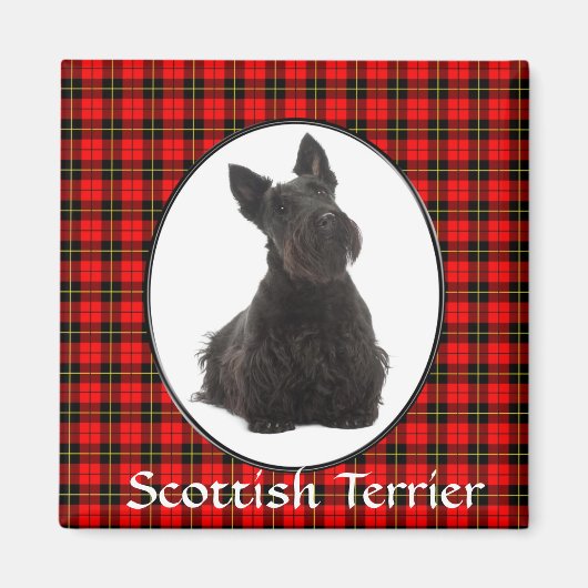 Scottish Terrier Magnet (Devant)