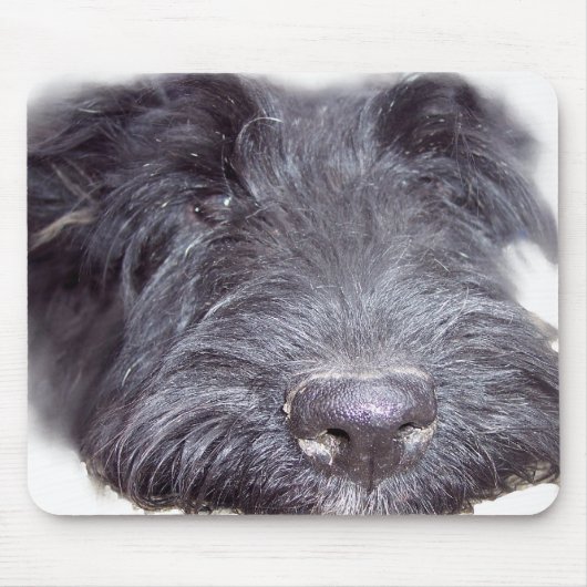 Scottish Terrier Muismat (Voorkant)