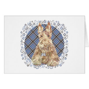 Scottish Terrier op Tartan