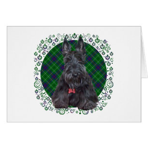 Scottish Terrier op Tartan