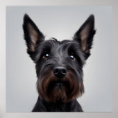 Scottish Terrier Poster (Voorkant)