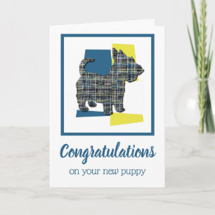 Scottish Terrier Puppy Dog Gefeliciteerd Greeting Kaart
