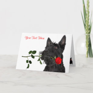 Scottish Terrier Puppy Red Rose Design Feestdagen Kaart
