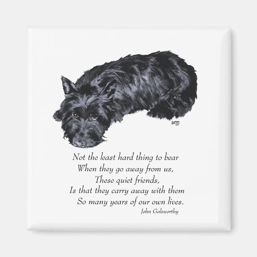 Scottish Terrier Rainbow Bridge Magneet (Voorkant)