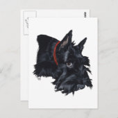 Scottish Terrier Resting Briefkaart (Voorkant / Achterkant)
