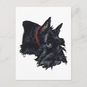 Scottish Terrier Resting Briefkaart