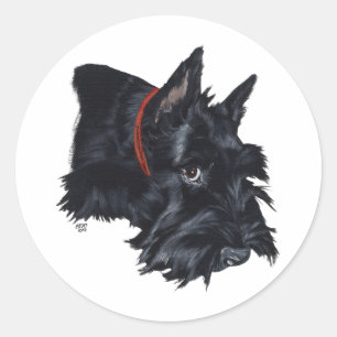 Scottish Terrier Resting Ronde Sticker