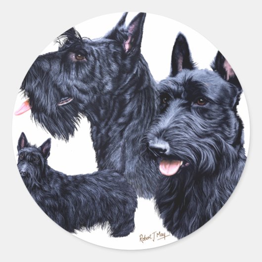 Scottish Terrier Ronde Sticker (Voorkant)
