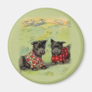  Scottish Terrier Round Magnet Magneet