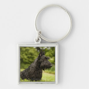 Scottish Terrier Sleutelhanger