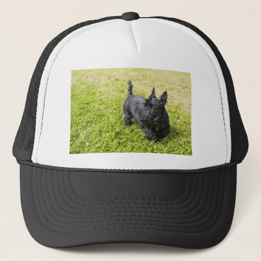 Scottish Terrier Trucker Pet (Voorkant)