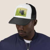Scottish Terrier Trucker Pet (In situ)