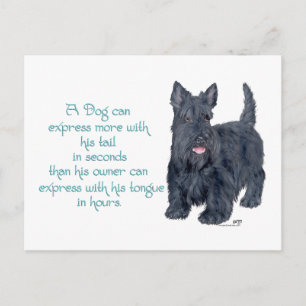 Scottish Terrier Wit & Wisdom - Talking Briefkaart