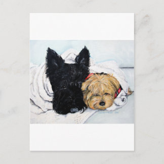 Scottish Terrier & Yorkie Best Friends Briefkaart