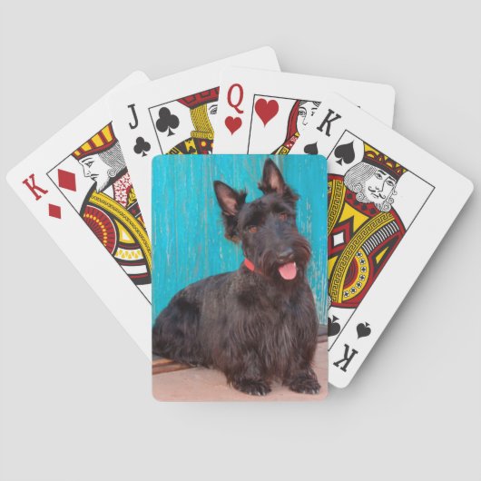 Scottish Terrier zit langs een kleurrijke deur Pokerkaarten (Achterkant)