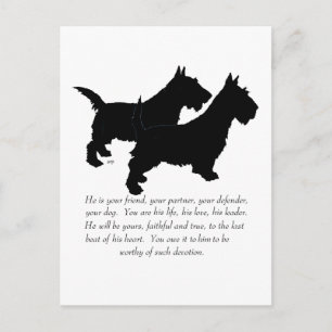 Scottish Terriers Keepomwille - MALE Dogs Briefkaart