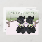 Scottish Terriers Party Animal Briefkaart (Voorkant / Achterkant)