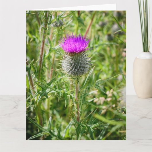 Scottish Thistle Bedankkaart (Voorkant)