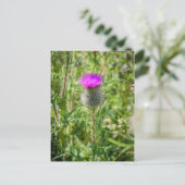 Scottish Thistle Briefkaart (Staand voorkant)