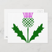 Scottish Thistle Briefkaart (Voorkant / Achterkant)