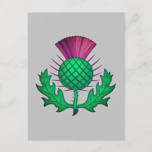 Scottish Thistle Briefkaart