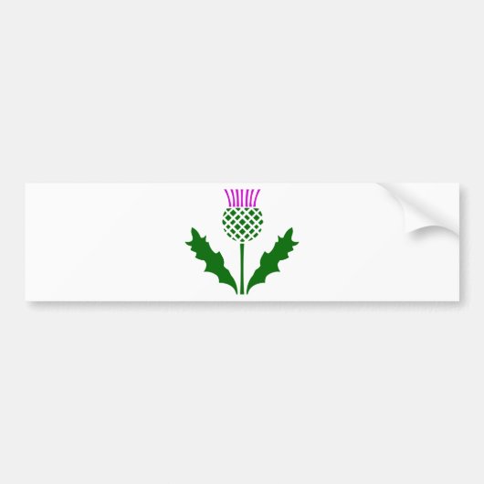 Scottish Thistle Bumpersticker (Voorkant)