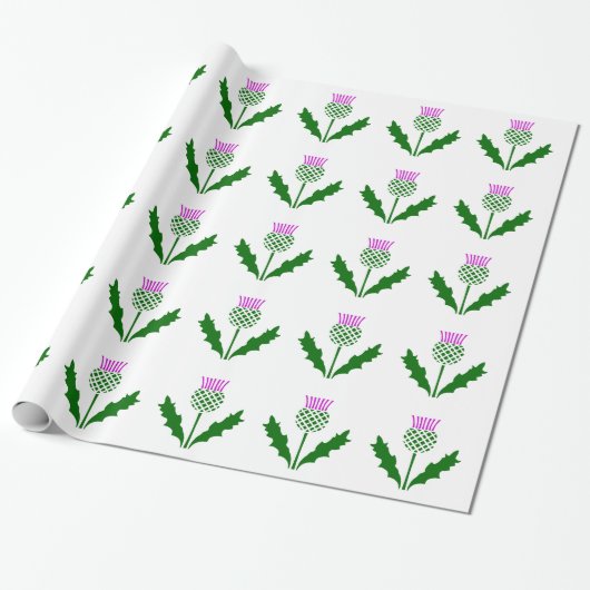 Scottish Thistle Cadeaupapier (Uitgerold)