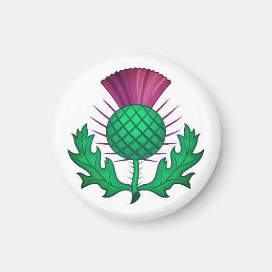 Scottish Thistle Magneet (Voorkant)