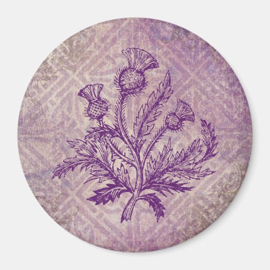 Scottish Thistle Paars Celtic Knot Magneet (Voorkant)
