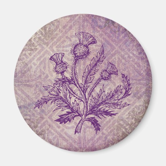 Scottish Thistle Paars Celtic Knot Magneet (Voorkant)