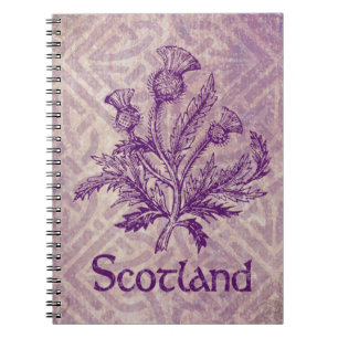 Scottish Thistle Paars Celtic Knot Notitieboek