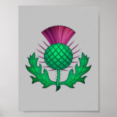 Scottish Thistle Poster (Voorkant)