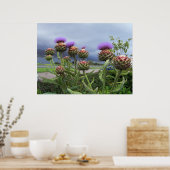 Scottish Thistle Poster (Keuken)