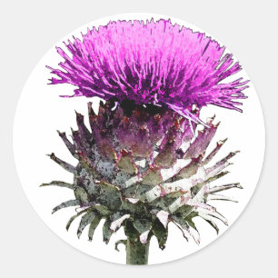 Scottish Thistle Ronde Sticker