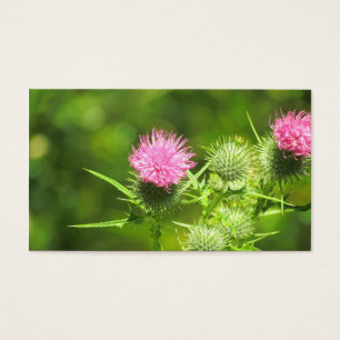 Scottish Thistle Visitekaartjes