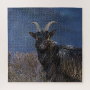 Scottish Wild Goat Legpuzzel