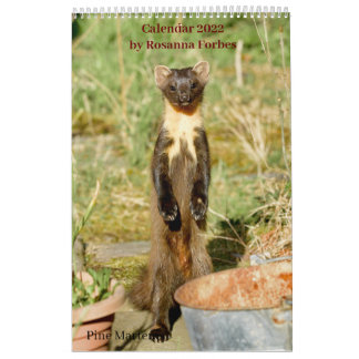 Scottish Wildlife Calendar 2022 Kalender
