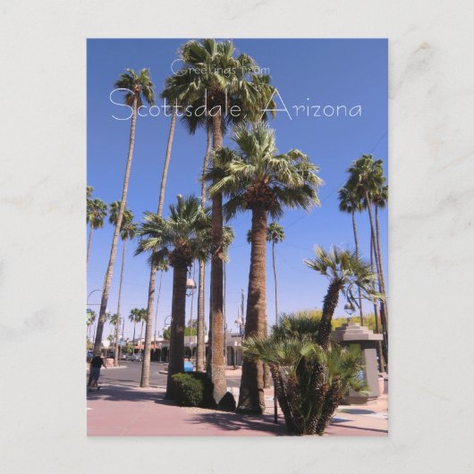 Scottsdale, Arizona Briefkaart (Voorkant)