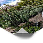 Scottsdale Succulent Sunset Poster (Hoek)