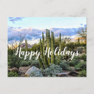 Scottsdale Succulent Sunset, Scottsdale, Arizona Briefkaart