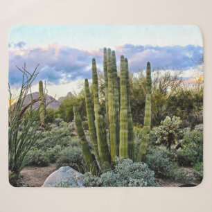 Scottsdale Succulent Sunset Sherpa Deken