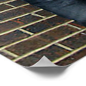 Scotty Vanity Brick Wall Poster (Hoek)