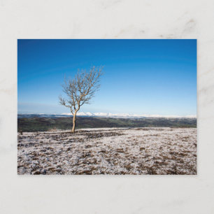 Scout Scar Winter Lake District Engeland Briefkaart